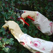 Girlie garden accessories and other pretties