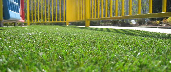 artificial lawn