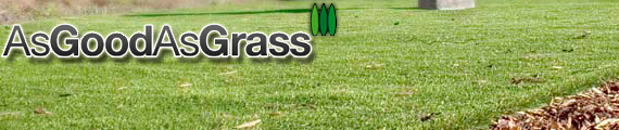 artificial turf