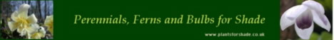 Long Acre Plants - Plants for Shade