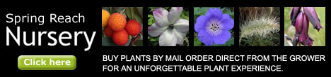 Spring Reach Nursery - Buy plants by mail order direct from the grower