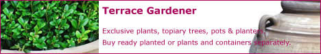 Terrace Gardener