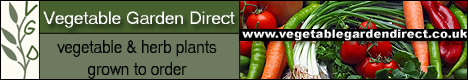 Vegetable Garden Direct- vegetable and herb plants grown to order