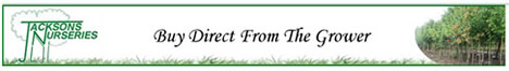 Jacksons Nurseries - Buy direct from the grower