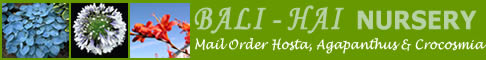 Bali Hai Nursery - Mail order hosta, agapanthus and crocosmia