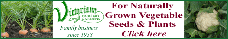 Victoriana Nursery Gardens - Quality Plants and Seeds delivered to your door