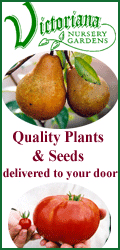 Victoriana Nursery Gardens - Quality Plants and Seeds delivered to your door