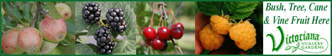 Victoriana Nursery Gardens - Quality Plants and Seeds delivered to your door