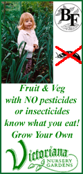 Victoriana Nursery Gardens - Quality Plants and Seeds delivered to your door